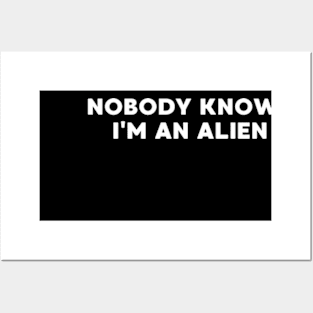 NOBODY KNOWS I'M AN ALIEN Posters and Art